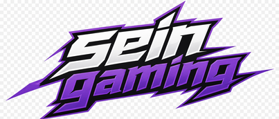 Sein Gaming